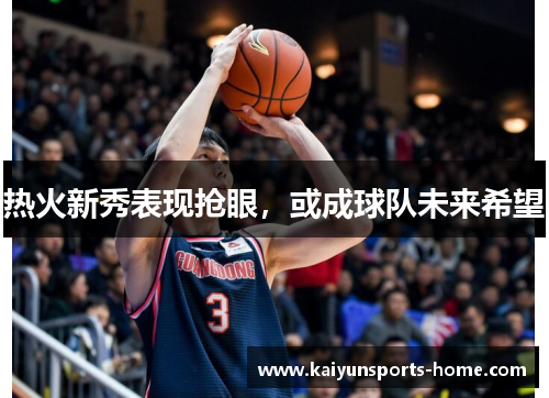 热火新秀表现抢眼，或成球队未来希望